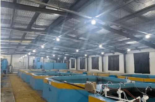 大山里也能養海蝦,全工廠化循環水養殖,走出了一條生態漁業綠色發展新路子