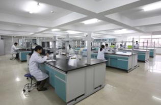 武漢維斯爾曼 以綜合資源優勢引領生物工程技術服務新篇章